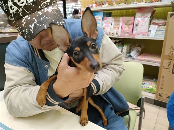 写真