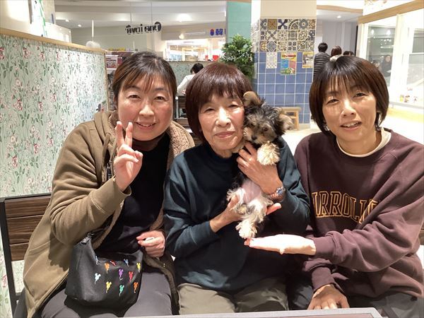 写真