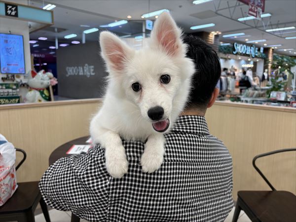 写真