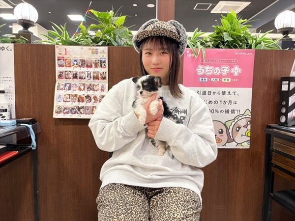 写真