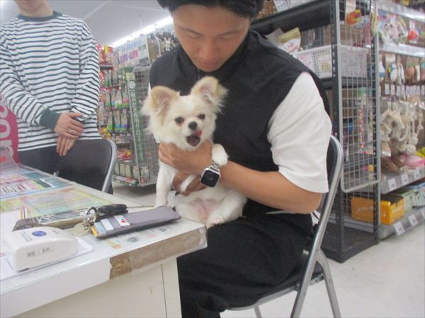 写真