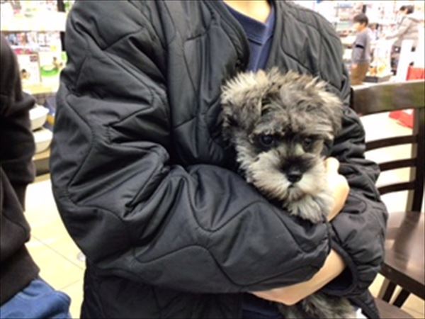写真