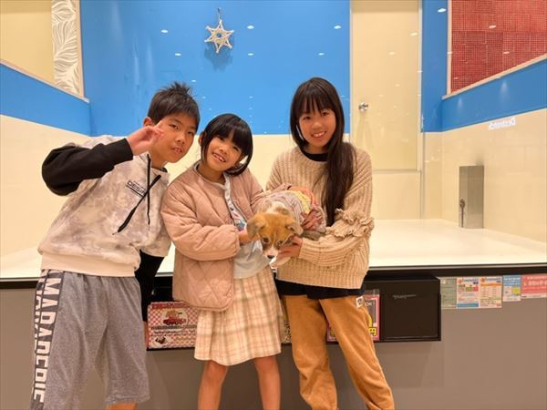 写真