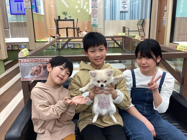 写真