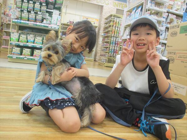写真