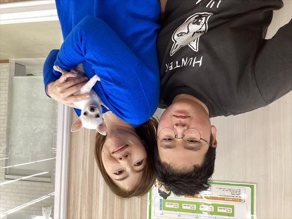 写真