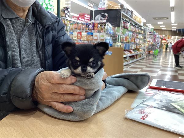 写真