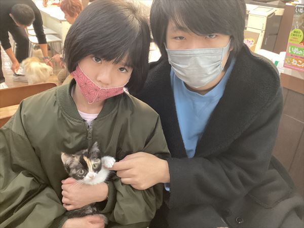 写真