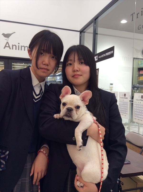 写真