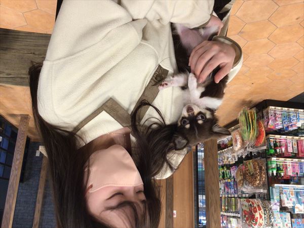 写真