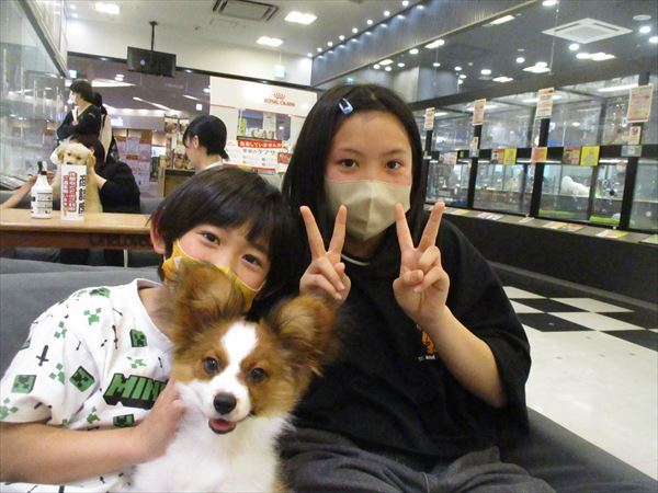 写真