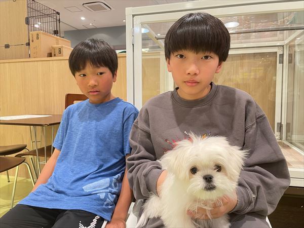 写真