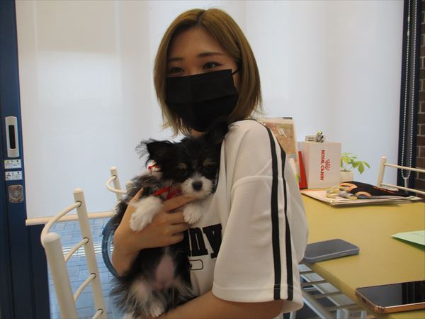 写真