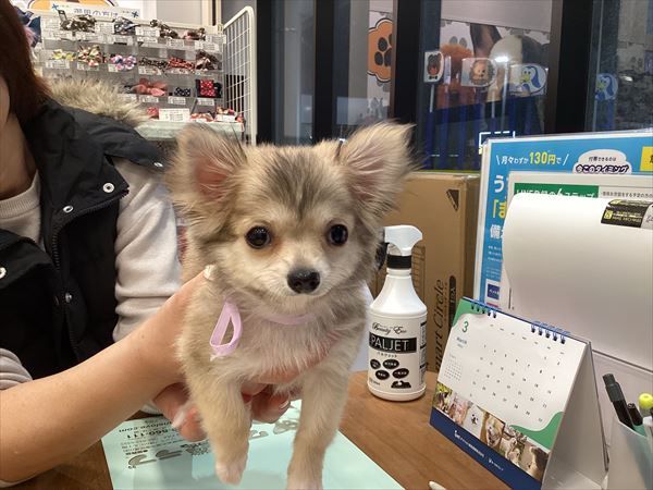 写真
