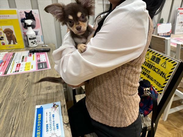 写真