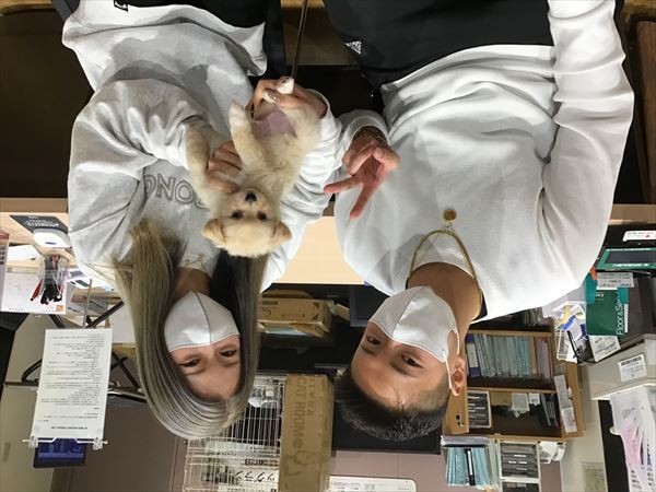 写真