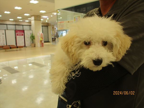 写真