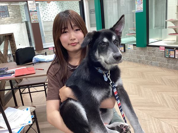 写真