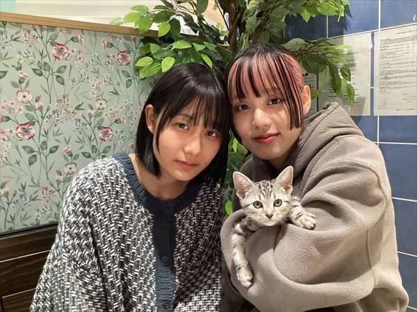 写真