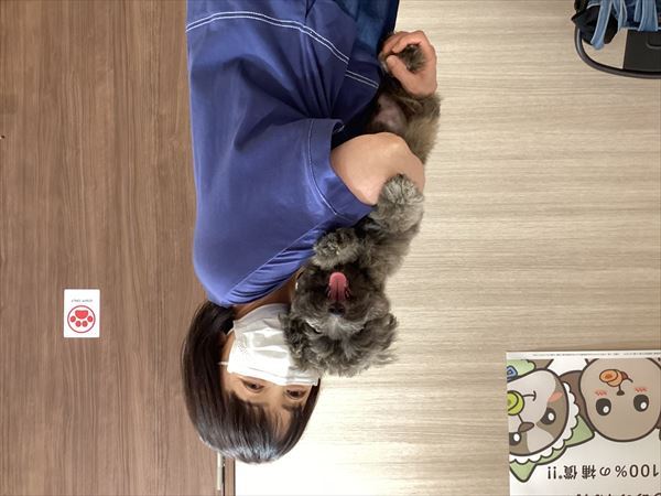写真