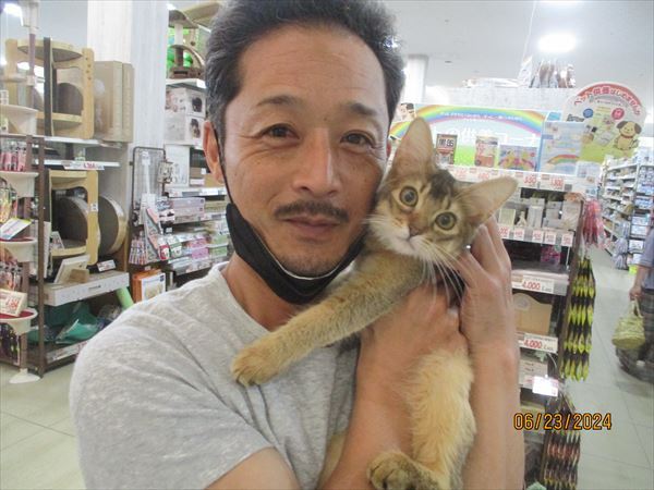 写真
