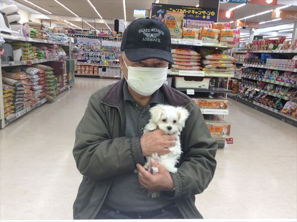 写真