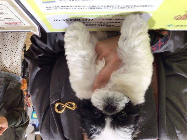 写真