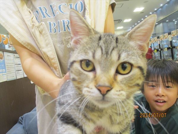 写真