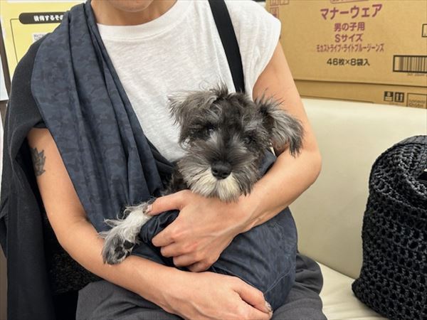 写真
