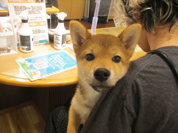 写真