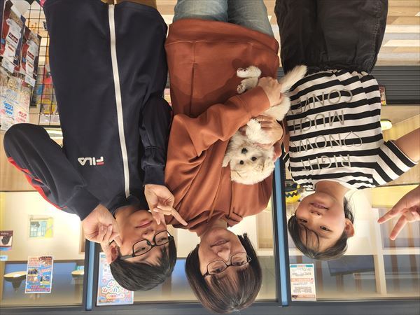 写真