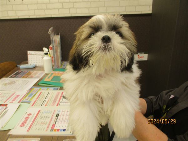 写真