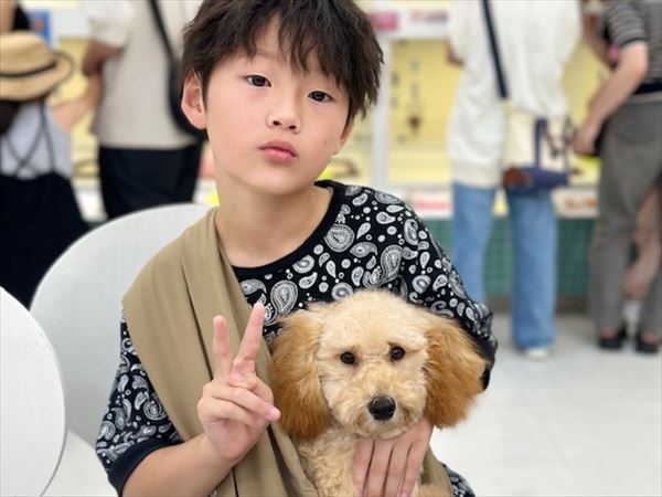 写真