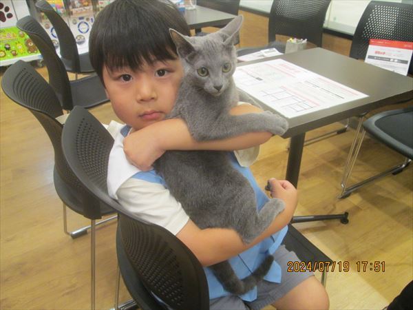 写真