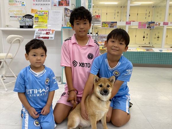 写真