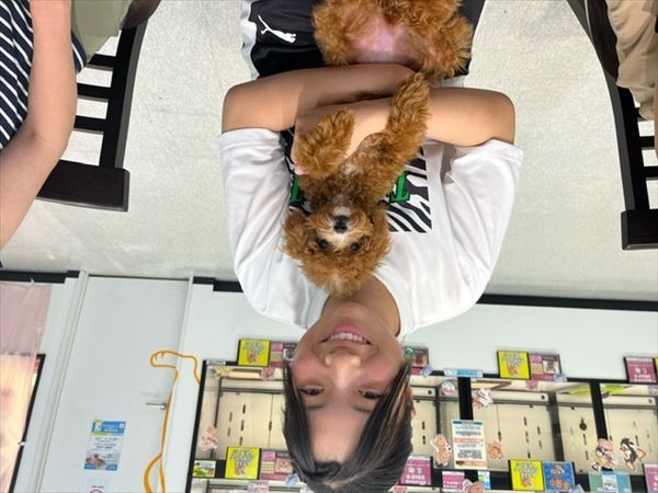 写真