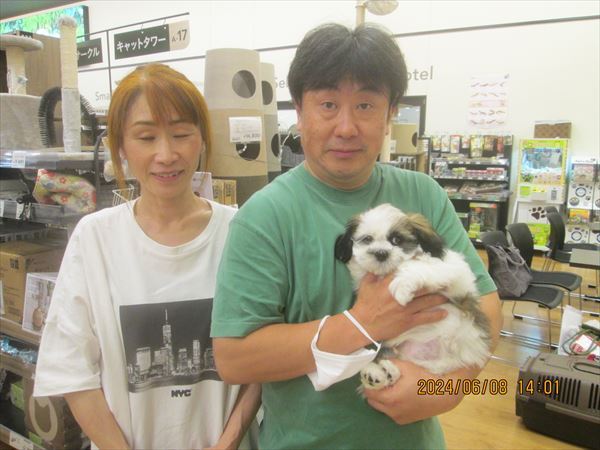写真