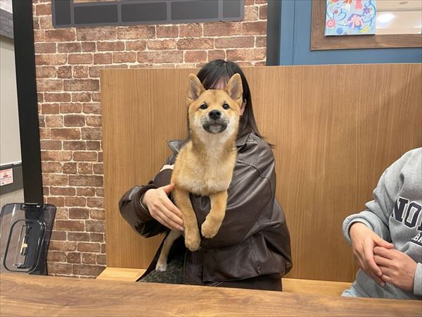写真