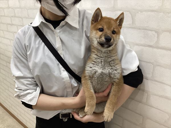 写真
