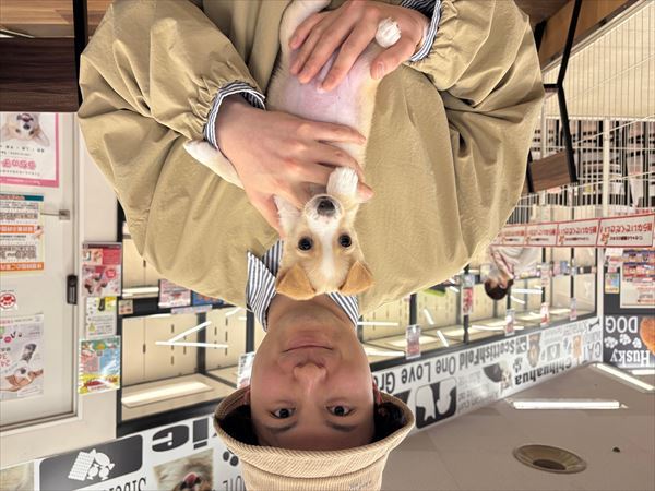 写真