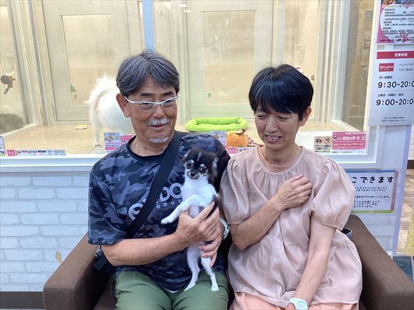 写真