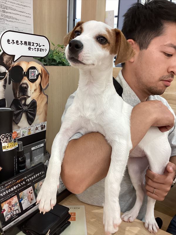 写真
