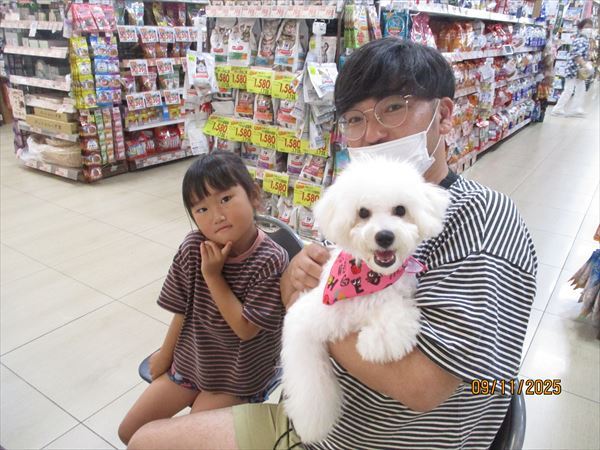 写真
