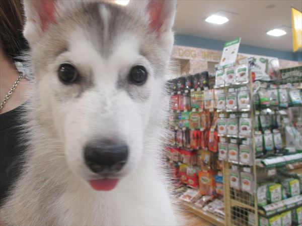 写真