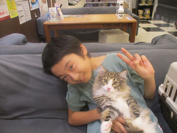 写真