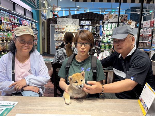 写真