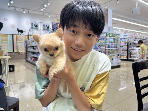 写真
