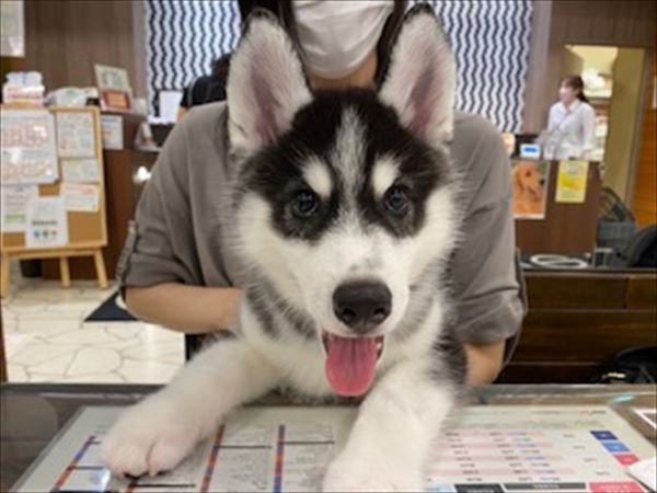 写真