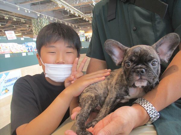 写真
