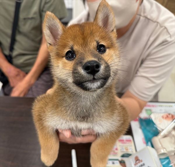 写真